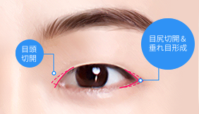 AB Plastic Surgery