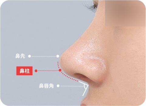 NaturGlow columella line diagram