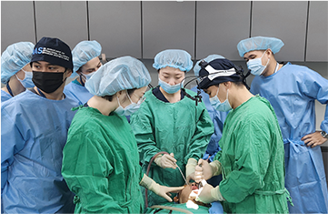 顔面輪郭ライブ手術