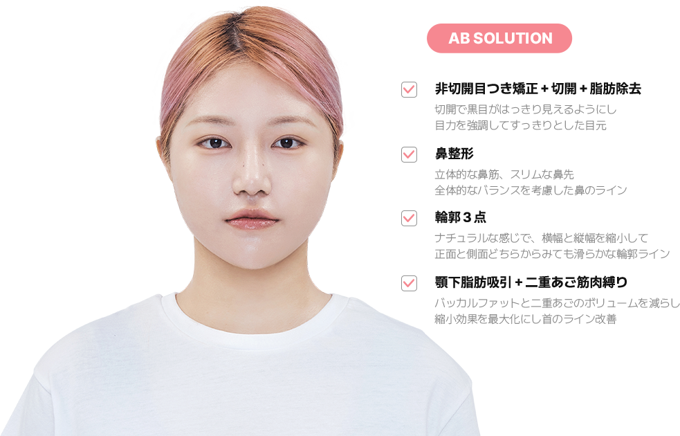 맥미걸 악플콜렉터 얼굴 수술 전 문제점과 개선점