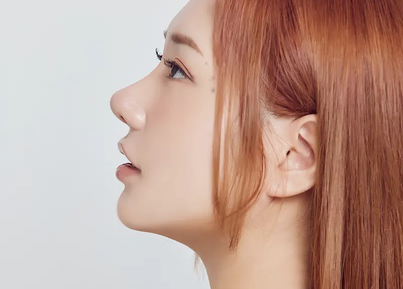 맥미걸 악플콜렉터