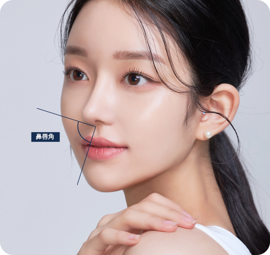 鼻 | 鼻形成術 - 韓国の美容整形 鼻 | 鼻形成術 - 韓国の美容整形