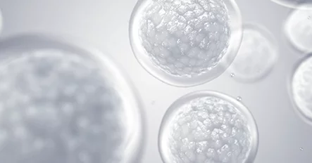 骨髄幹細胞注射