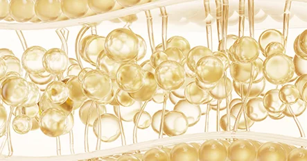 幹細胞脂肪移植