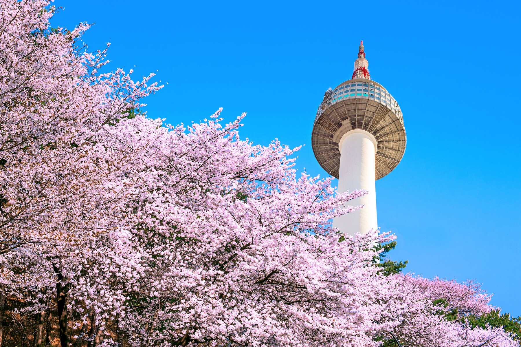 韓国ソウルの南山タワー